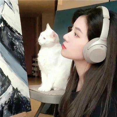三只狼