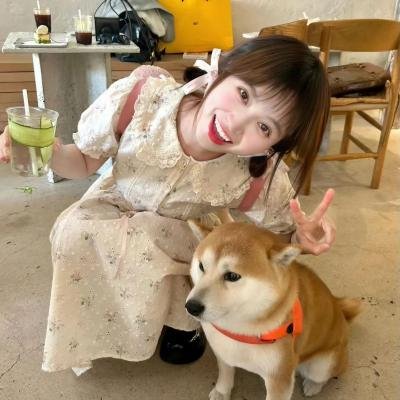 哦,我的宠妃大人